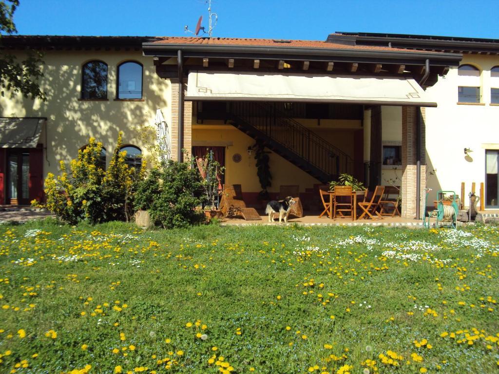Agriturismo Ca' Del Ferro Zevio Luaran gambar