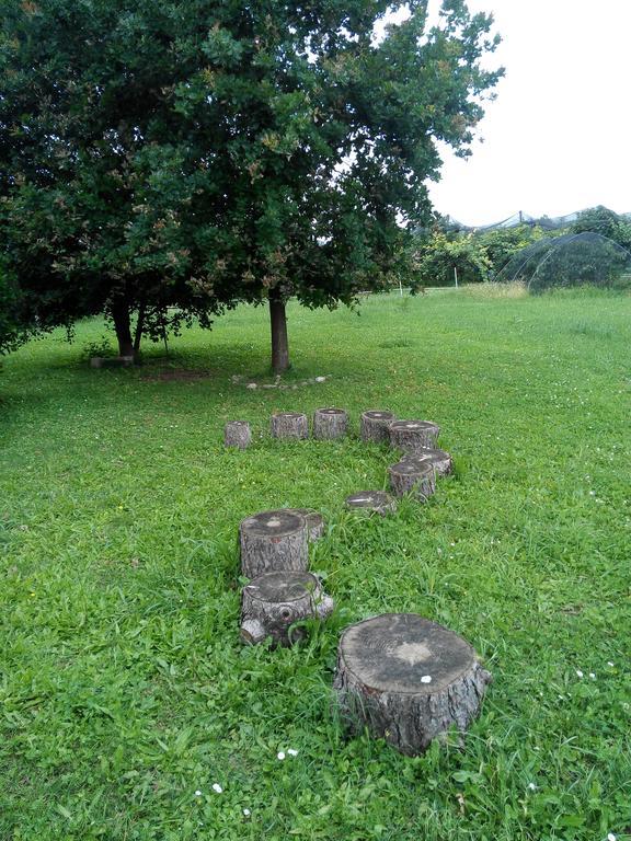 Agriturismo Ca' Del Ferro Zevio Luaran gambar